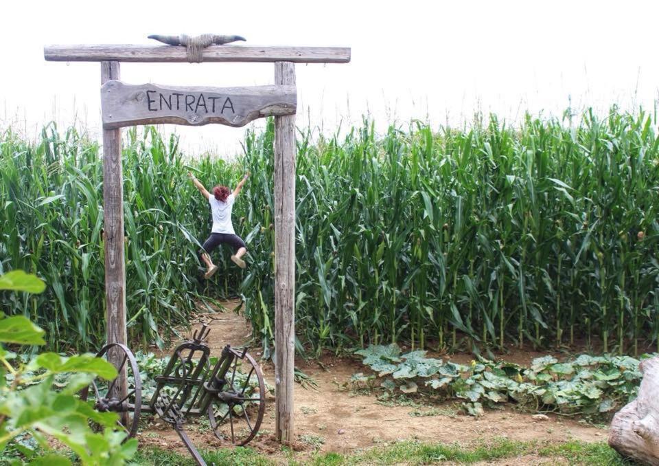 La Selce Farmhouse Bagnario Arsa エクステリア 写真